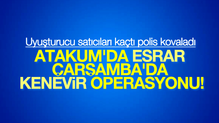 Samsun'un Atakum ilçesinde esrar, Çarşamba ilçesinde ise kenevir operasyonu yapıldı