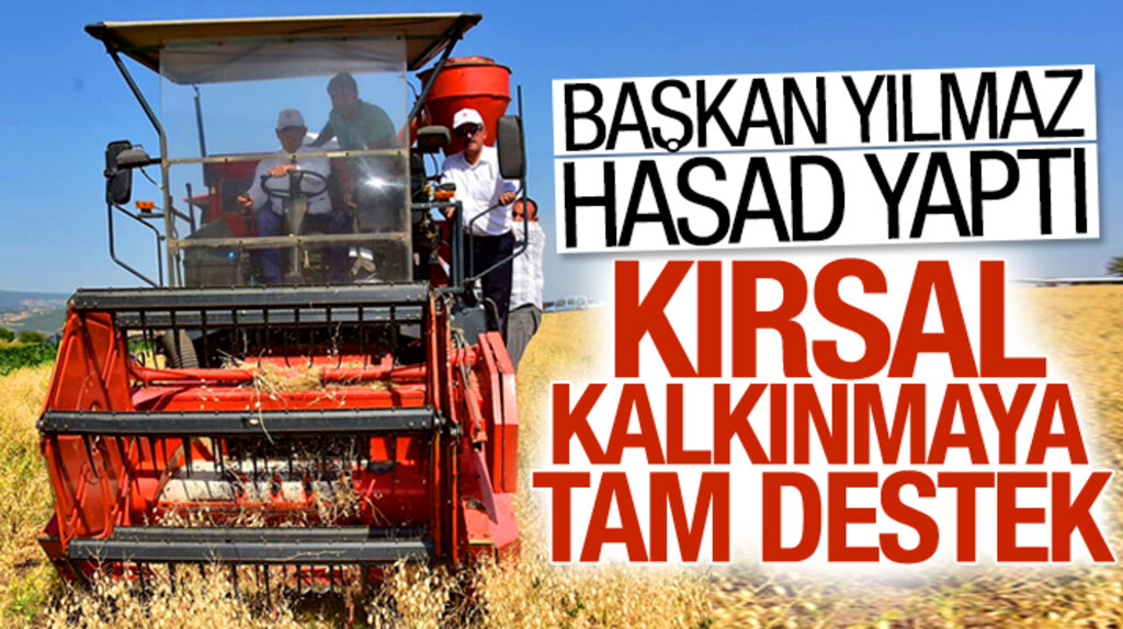 Yusuf Ziya Yılmaz Samsun'un Vezirköprü ilçesinde nohut hasadı yaptı