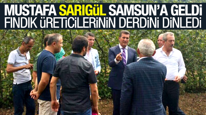 Mustafa Sarıgül Samsun' a geldi fındık üreticilerinin derdini dinledi