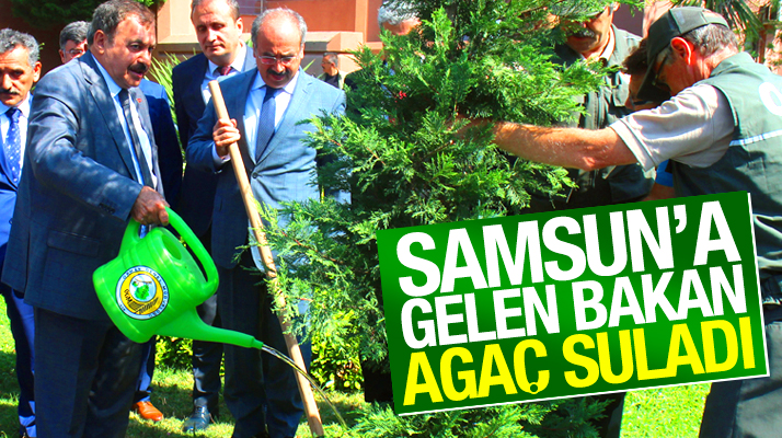 Veysel Eroğlu Samsun Valiliği bahçesine fıdan dikti