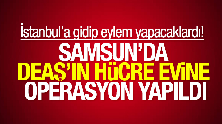 Samsun Valiliği açıkladı: Samsun'da DEAŞ'ın hücre evine operasyon yapıldı