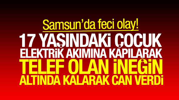 Samsun'da telef olan ineğin altında kalan Tolga Köse isimli çocuk feci şekilde can verdi