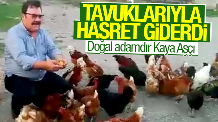Samsunlu işadamı Kaya Aşçı'nın tavuklarla çekilen görüntüleri ilgi odağı oldu