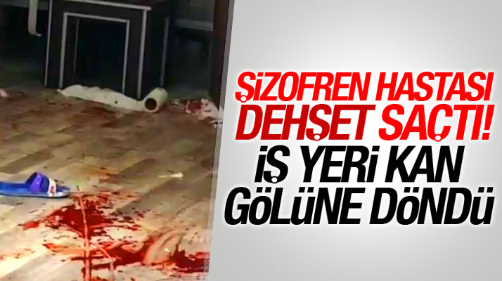 Samsun Havza'da şizofren hastası bıçakla dehşet saçtı 1 kişi ağır yaralandı