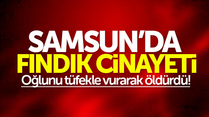 Samsun Terme'de şok cinayet! Baba, oğlunu fındık yüzünden öldürdü