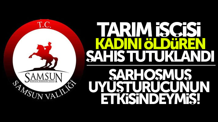Samsun Terme'de mevsimlik tarım işçisi Perihan Akın'ı öldüren şahıs tutuklandı