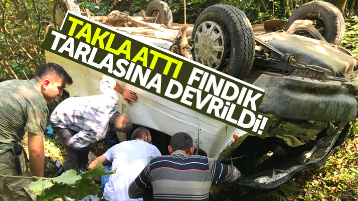 Samsun Salıpazarı ilçesinde kamyonet fındık bahçesine devrildi: 1 yaralı