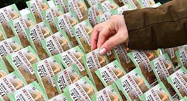 Mili Piyango 2023 yılbaşı bileti büyük ikramiye hangi şehirlere çıktı