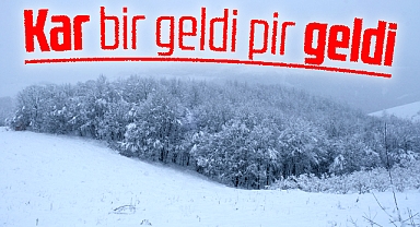 Samsun'un Tekkeköy ilçesinde kar yağışı etkili oldu ekipler harekete geçti