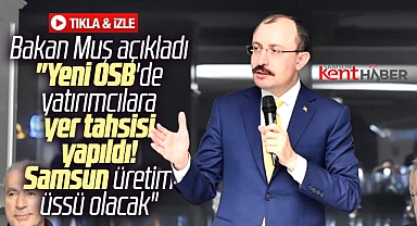 Ticaret Bakanı Muş açıkladı! Samsun yeni OSB'de yatırımcılara yer tahsisi yapıldı