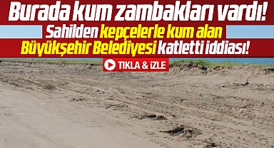 Samsun Büyükşehir kepçelerle kum aldığı sahilde kum zambaklarını yok etti!