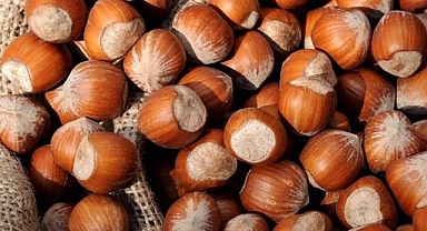 Giresun kalite fındık 84 TL levant fındık fiyatı ise 82.5 TL olarak açıklandı