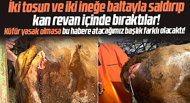 Samsun'da böyle canilik görülmedi dedirten haber!