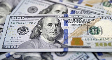 Google Pazar akşamı Dolar'ı neden 24 lira gösteriyor?