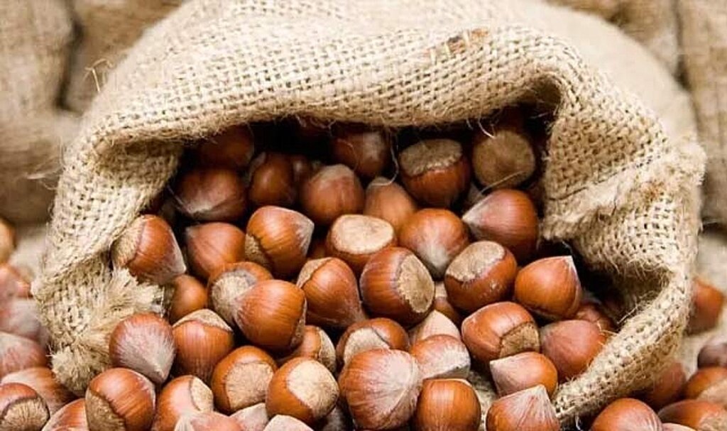 Fındık fiyatı 11 Aralık Pazartesi il il ne kadar oldu? Güncel fındık fiyatları