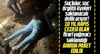 Samsun polisi firari hükümlüyü saklandığı hayvan ahırında kıskıvrak yakaladı