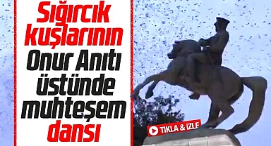 Samsun'da sığırcık kuşlarının Onur Anıtı üstünde büyüleyen dansı