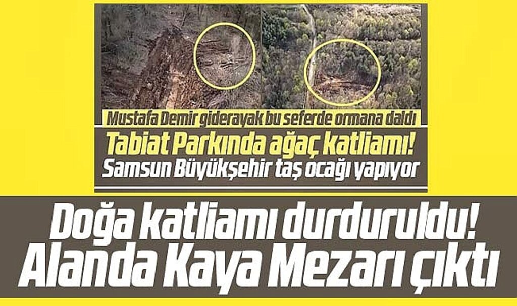Samsun'da Asarağaç Tabiat Parkındaki çalışma durduruldu! Alanda Kaya Mezarı çıktı