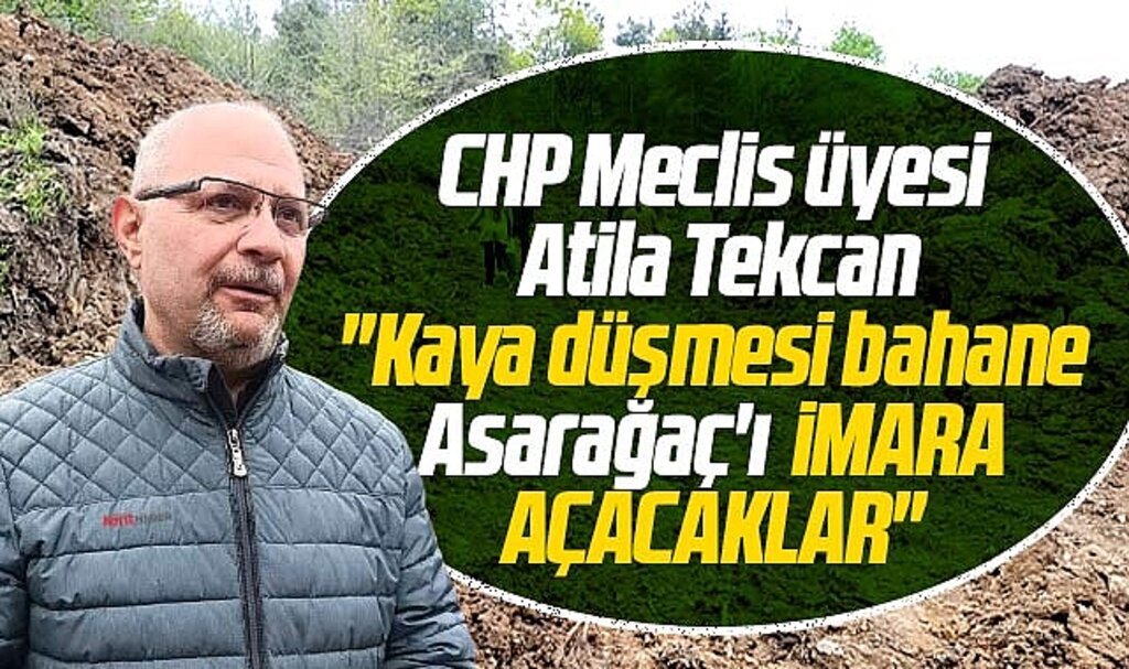 Samsun'da doğa katliamının yapıldığı Asarağaç ile ilgili şok iddia! İmara açacaklar