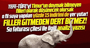 Samsunlunun su faturası çilesi TEFE-TÜFE ile ilgili analiz yazısı! Filler gitmeden dert bitmez