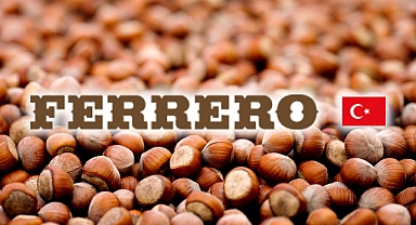 Ferrero 2024-2026 dönemi için fındıkta Eylem Planı’nı açıkladı