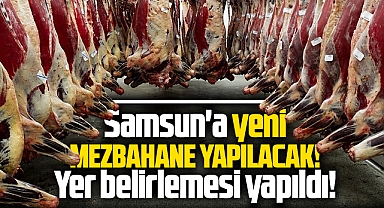 Samsun'a yeni mezbahane yapılacak! Yer belirlendi, proje hazır!