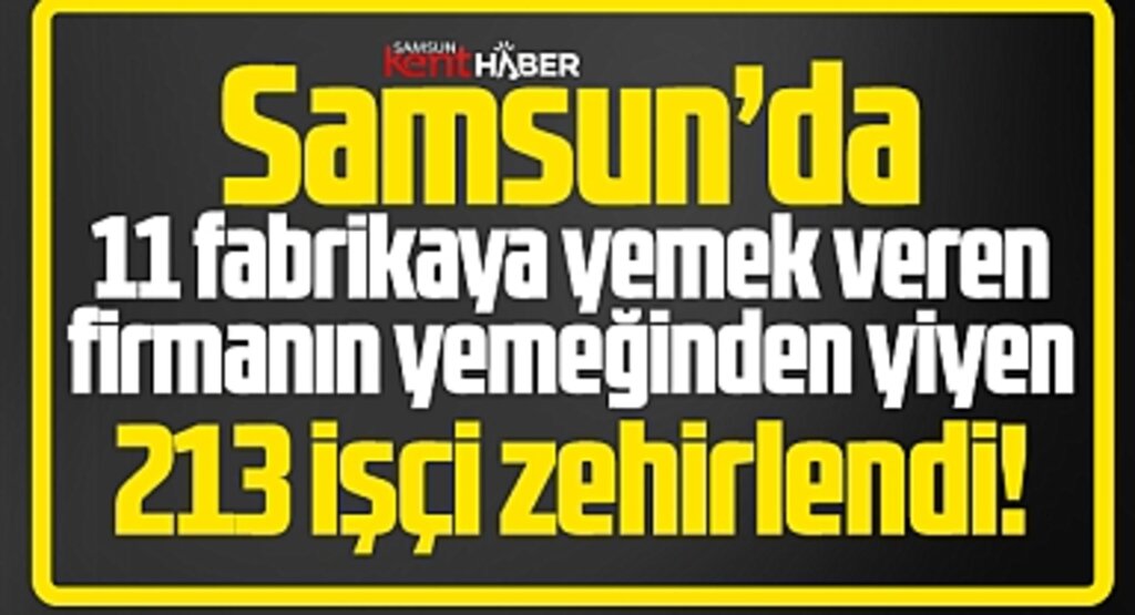 Samsun'da 11 fabrikada 213 işçi yemekten zehirlendi!