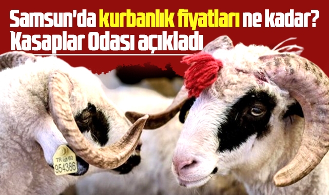 Samsun'da 2025 kurbanlık fiyatları ne kadar? Kasaplar Odası açıkladı!