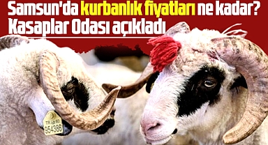 Samsun'da 2025 kurbanlık fiyatları ne kadar? Kasaplar Odası açıkladı!