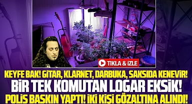 Samsun'da saksı içine kenevir ekilen eve polis baskın yaptı!