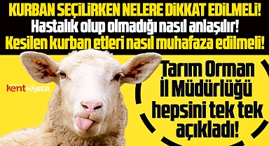 Samsun Tarım Orman Müdürlüğü kurban seçiminde dikkat edilmesi gerekenleri açıkladı