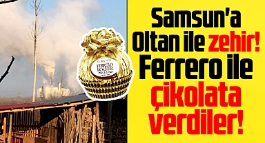 Samsun'a Oltan ile zehir, Ferrero ile çikolata verdiler!