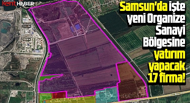 Samsun'da işte yeni OSB'de yatırım yapacak 17 firmanın isimleri