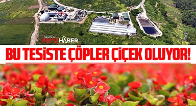 Samsun'da Katı Atık Tesisinde kurulan serada atıklar çiçek oluyor