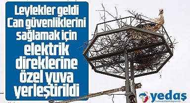YEDAŞ leylekler için elektrik direklerine 34 adet özel yuva yerleştirdi