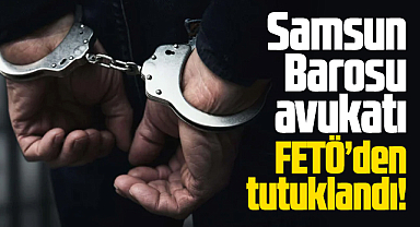 Samsun Barosu avukatı Ahmet Çavuş FETÖ'den tutuklandı