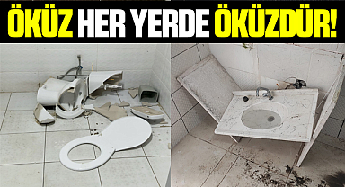 Samsun'da belediyenin yaptığı tuvaletleri kırıp döktüler! Öküz her yerde öküzdür!