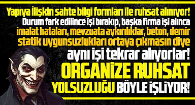 Samsun'da organize ruhsat yolsuzluğu iddiası! Sistem böyle işliyor!