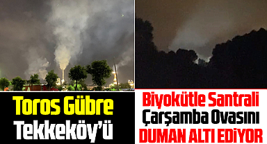 Samsun'da Toros Gübre ve Biyokütle Santrali şikayeti! Duman altı ediyorlar!