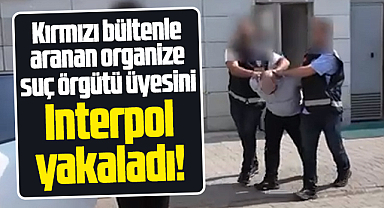 Samsun Emniyeti duyurdu! Kırmızı bültenle aranan suç örgütü üyesi yakalandı!