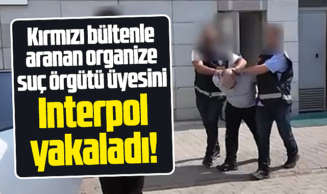 Samsun Emniyeti duyurdu! Kırmızı bültenle aranan suç örgütü üyesi yakalandı!