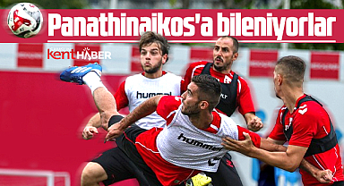 Samsunspor Panathinaikos'a bileniyor! Nuri Asan'da sıkı hazırlık!