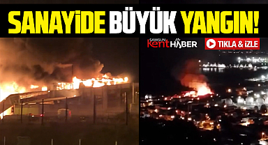Samsun'da Örnek Sanayide kereste fabrikasında büyük yangın!