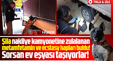 Samsun'da dedektör köpek Şila kamyonete gizlenen uyuşturucuları buldu
