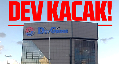 Samsun'da dev kaçak! Dev Groos 3 aydır ruhsatsız!