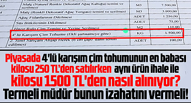 Samsun'da park bahçeler için yapılan alım ihalelerinde yüksek fiyat iddiası!