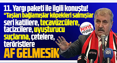 Destici'den 11. Yargı Paketi açıklaması! Bu suçlara af gelmesin