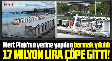 Samsun'da 17,2 milyon lira çöpe gitti! Yapılan barınak yıkıldı!