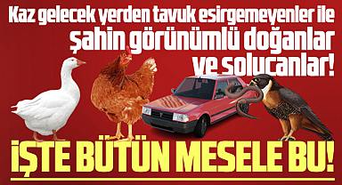 Samsun'da başkanın ev haberi ve hezeyanlarla ortaya çıkanlara cevabımız!