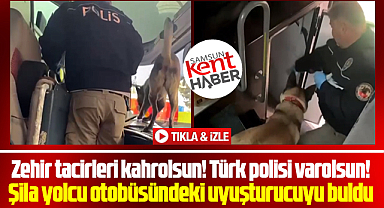 Samsun'da dedektör köpek Şila yolcu otobüsünde 2 kilo metamfetamin buldu